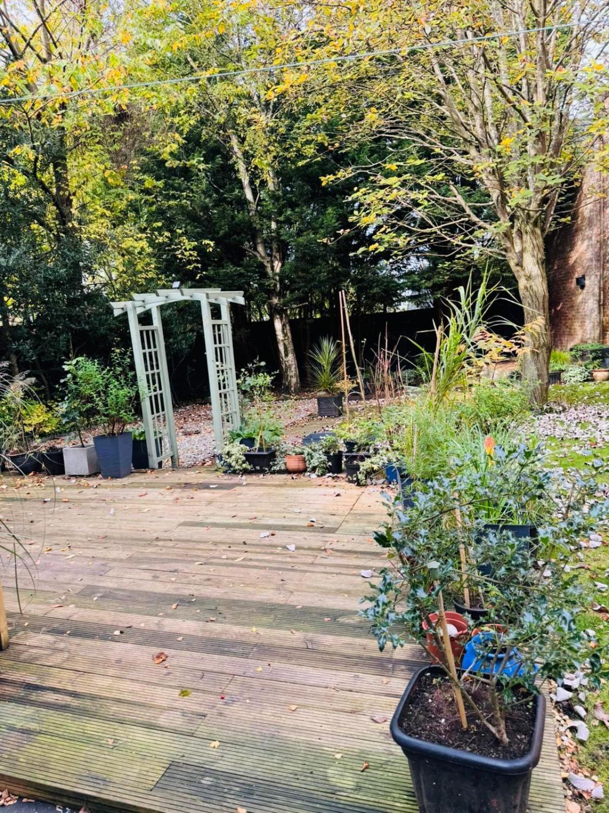 Three Bedroom House In